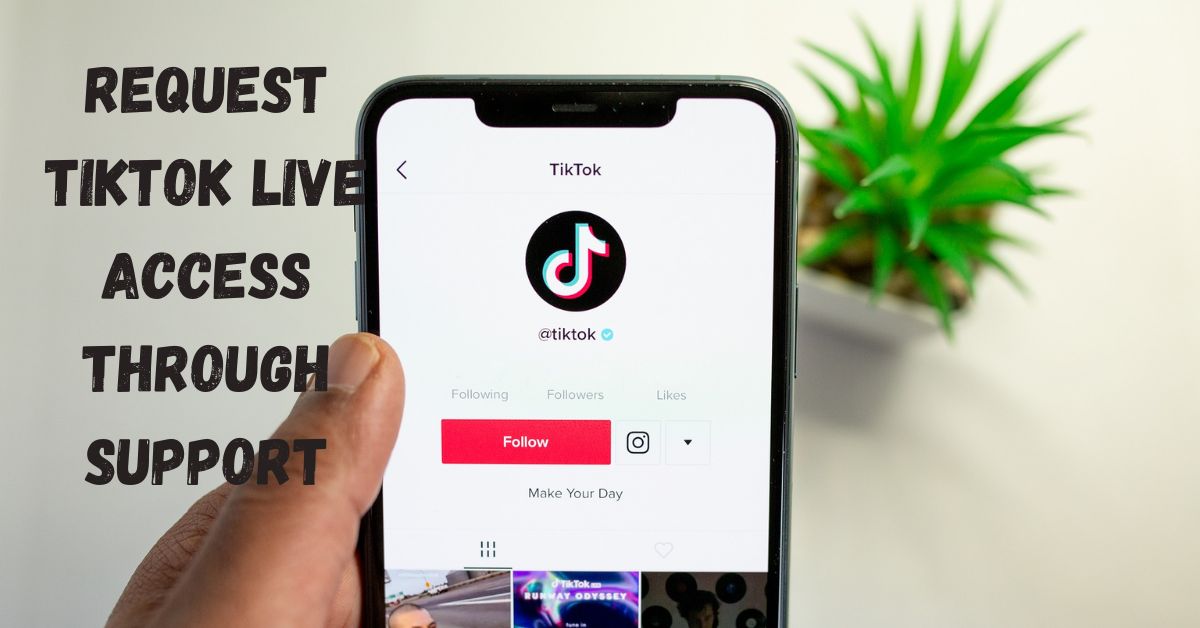 Request TikTok Live Access Through Support